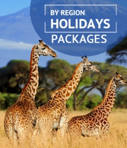 Package Tours By Region