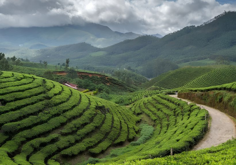 Darjeeling