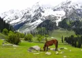 Kashmir