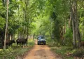 Similipal