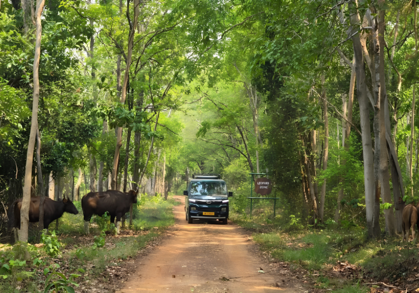 Similipal