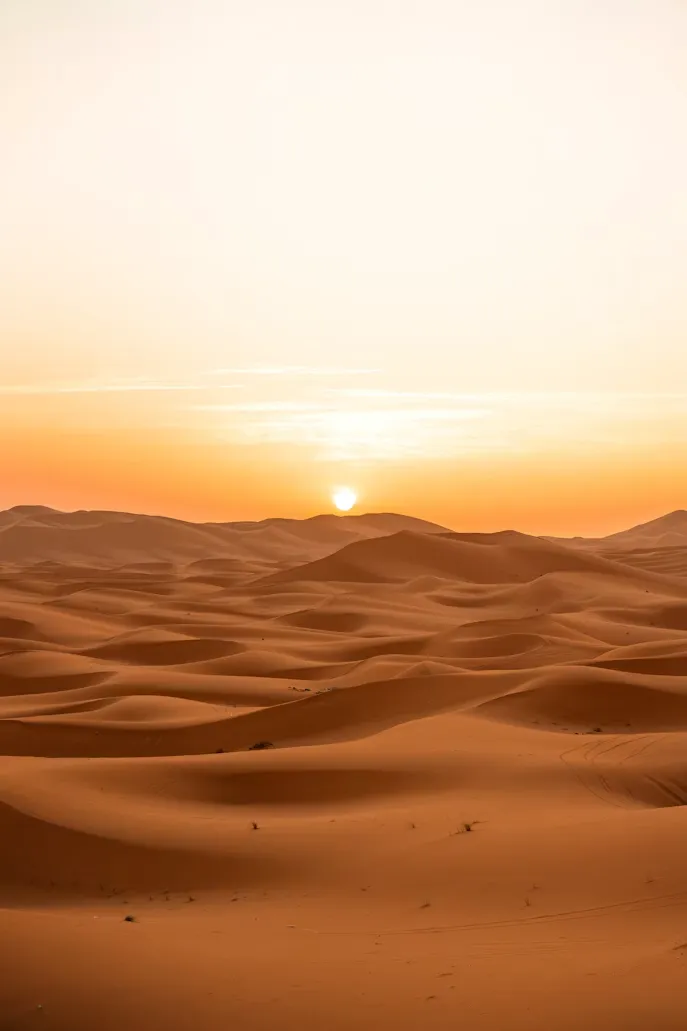 Desert Safari