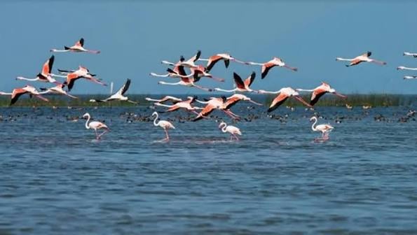 Golden Triangle with Chilika Lake ( Barkul & Manglajodi ) - Photo 1