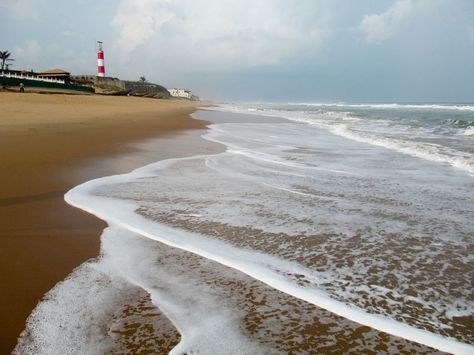Olive Ridley Tour - Photo 2