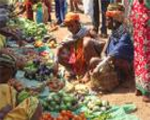 Odisha & Chhatisgarh Tribal Tour