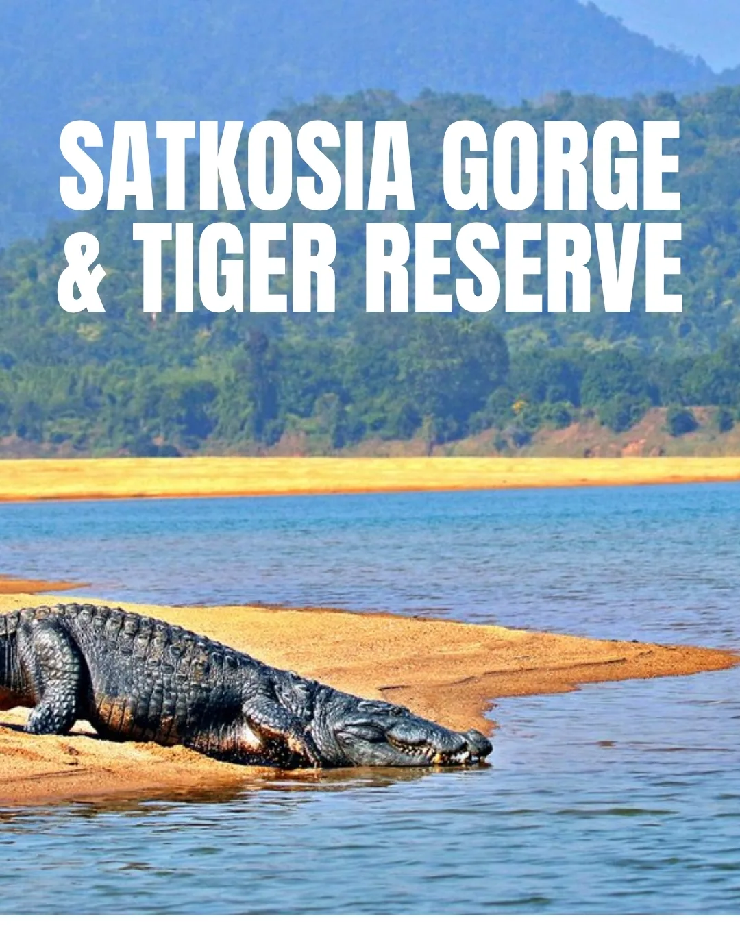 swostiindia tour package