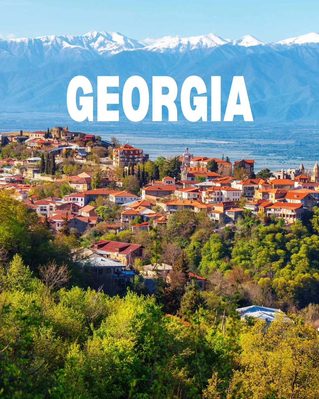 georgia tour