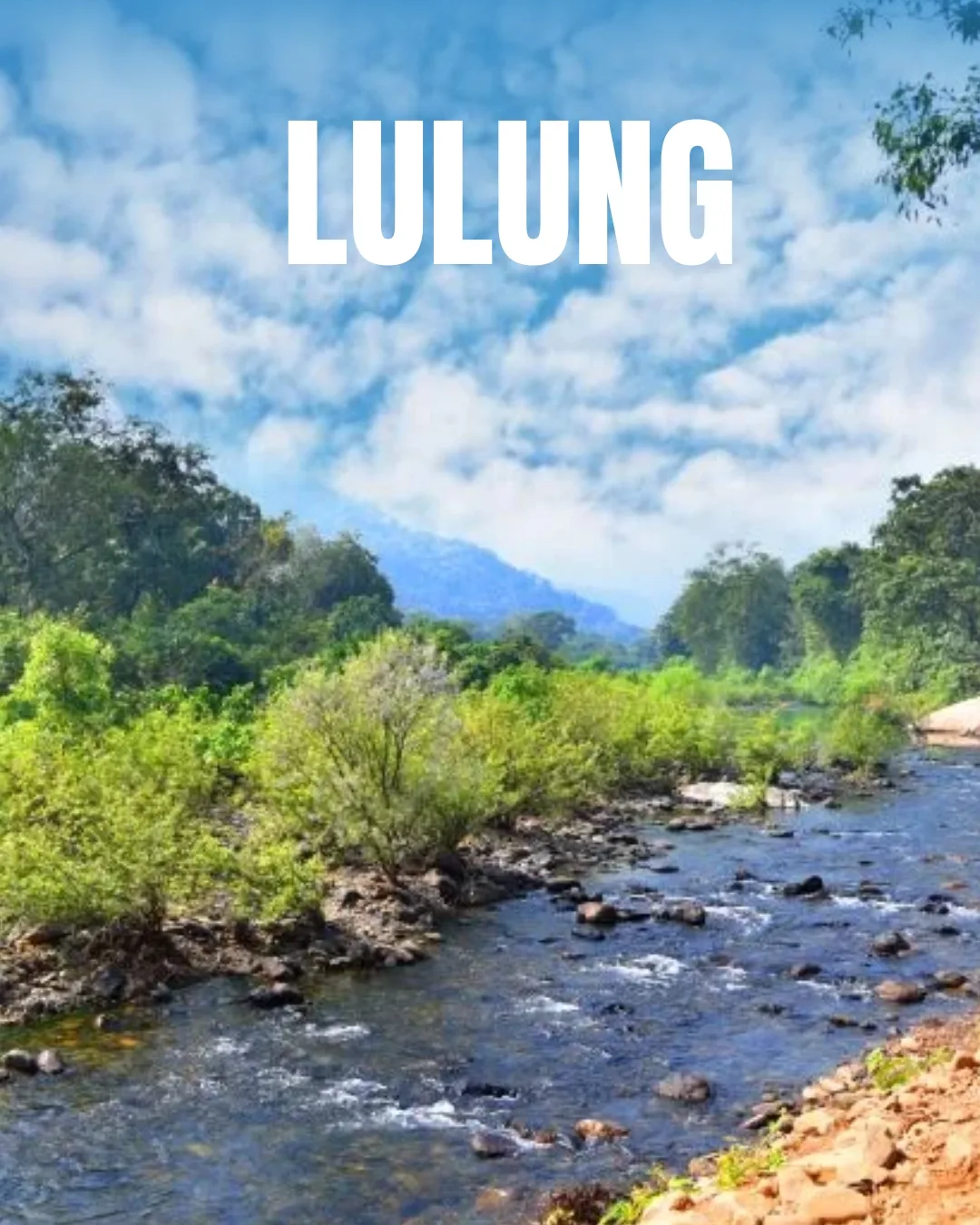 swosti india tour service