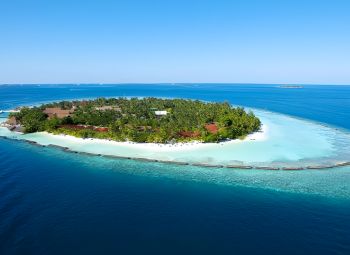 swosti india tour service