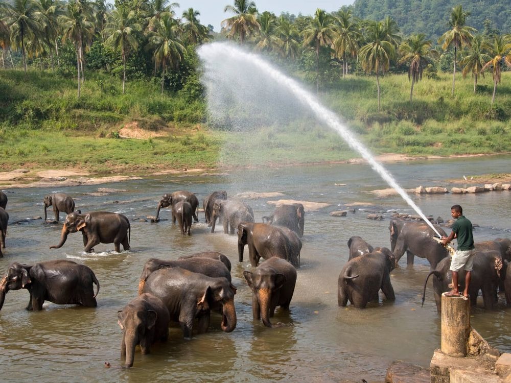 Sri Lanka Heritage day 3