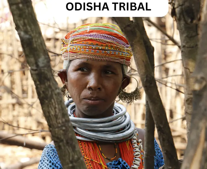 ODISHA-TRIBAL